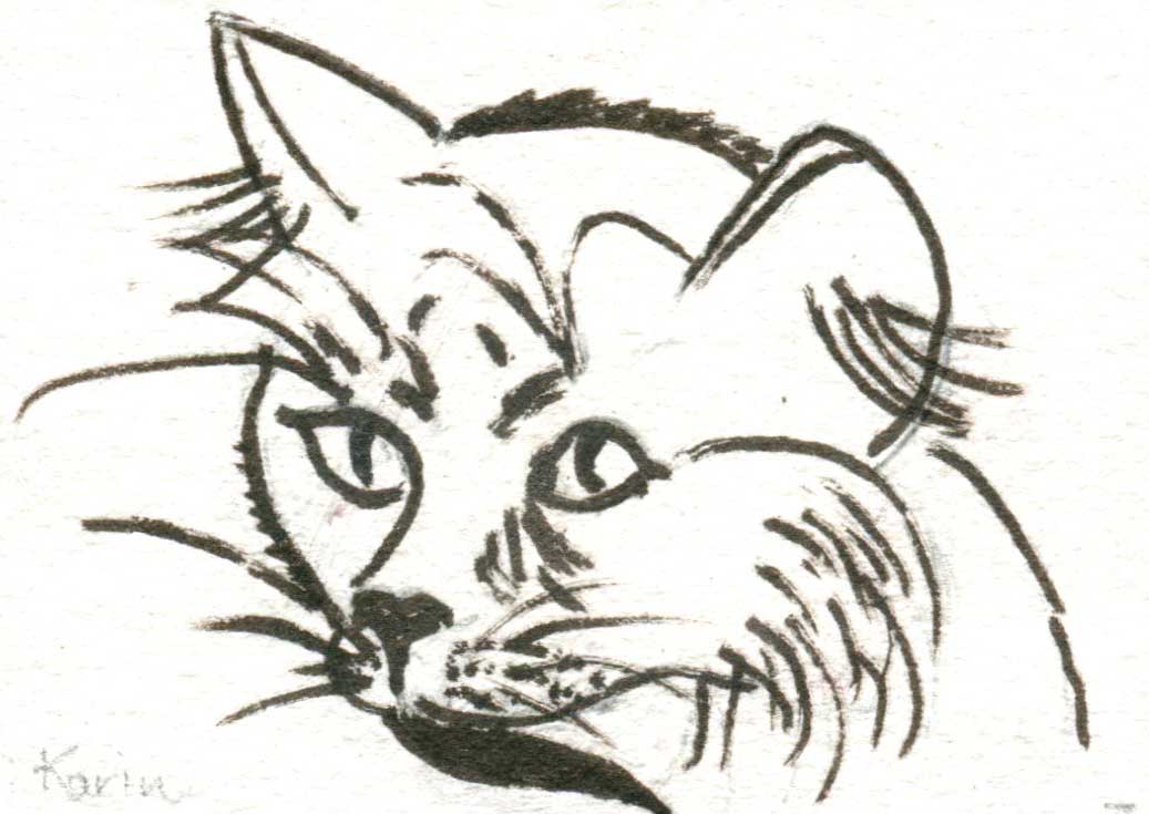 "Kitty I'm Watching" by Karen Livingood, Oshkosh WI - Pen & Ink